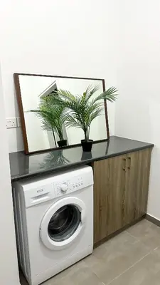 a washing machine with a mirror and potted plants on a counter at Vacation mode Apartment in Ayia Napa