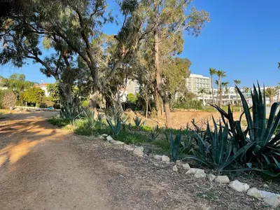 a dirt road with trees and plants in a park at Zoe's villa by Turtle Bay in Protaras