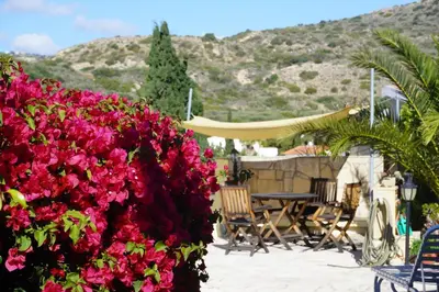 a bunch of pink flowers in front of a patio at Villa Hanna mit Meerblick in Pissouri
