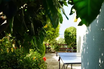 a blue ping pong table in a garden with plants at Villa Hanna mit Meerblick in Pissouri