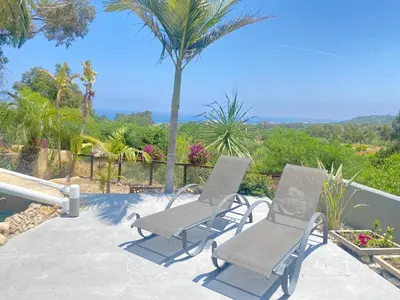 two chairs and a palm tree on a patio at Mediterranean View Villa in Protaras