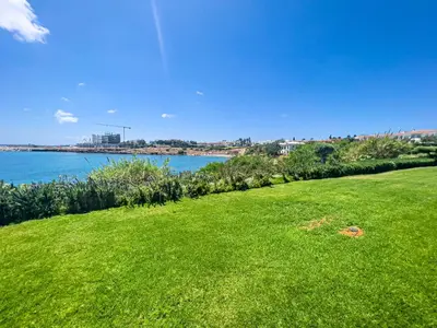 a grassy field next to a body of water at Erato Seafront Luxury Villa in Protaras