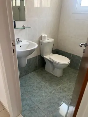 a bathroom with a toilet and a sink at Chara Cynthiana Villa in Paralimni