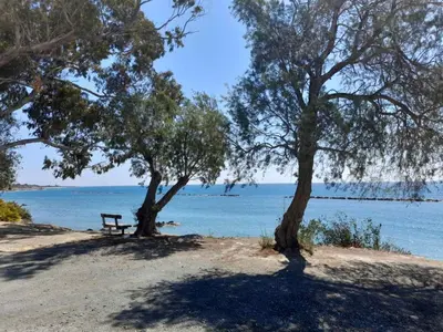 a bench sitting between two trees on a beach at Seaside Studio Zygi in Zygi
