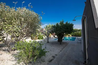 a swimming pool with trees next to a house at Papaya Royal Villa in Ayia Napa