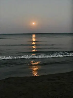 a sunset on a beach with the ocean at LARA 303 in Larnaka