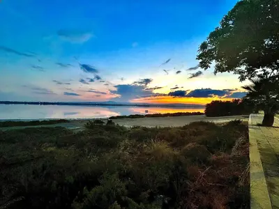 a sunset over a body of water with a tree at LARA 303 in Larnaka