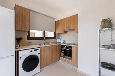a kitchen with wooden cabinets and a washer and dryer at Epicurian Residence in Nicosia