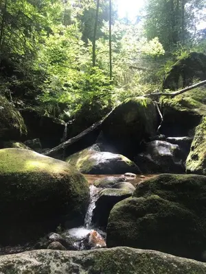 a stream of water with rocks in a forest at The House of Pericles in Silikou