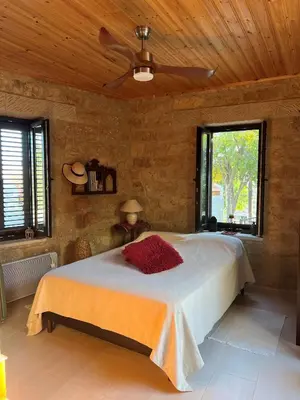 a bedroom with a bed and a ceiling fan at Cosy Piano village cottage in Pachna in Pachna