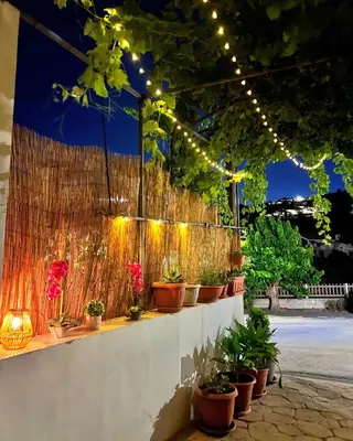 a row of potted plants on a wall with lights at Stou Stefani in Agros
