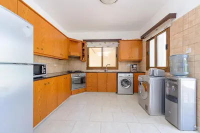 a kitchen with wooden cabinets and a washer and dryer at Villa Sam in Ayia Napa