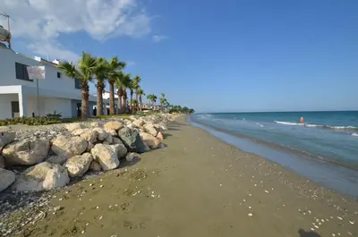 a beach with rocks and palm trees and a building at Meneou Blu Beach House* in Meneou