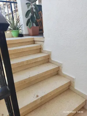 a set of stairs with a potted plant at Vicky apartment in Paralimni