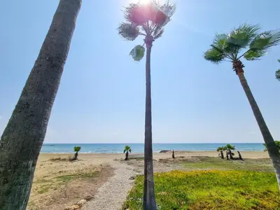 two palm trees on a beach near the ocean at Beach Vibes Beachfront Apartment in Pyla