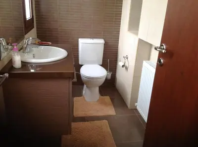 a bathroom with a toilet and a sink at Ta Spitakia tis Theodosias in Kalopanayiotis