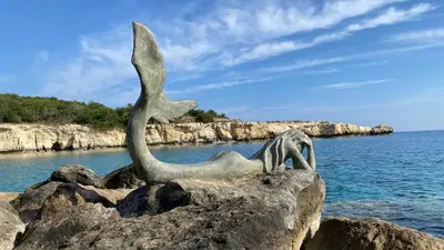 a statue of a bird on a rock near the water at Anchora in Paralimni