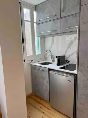a small kitchen with a sink and a stove at Nicosia City Centre Luxury Renovated Apartment in Nicosia