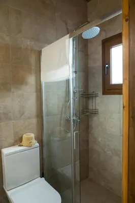 a bathroom with a glass shower with a toilet at Fikardou Chalets in Phikardhou