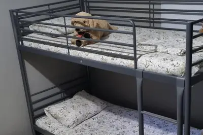 a dog laying on top of a bunk bed at 2br-7 Guests-Free Parking-Pool-AirCon in Paralimni