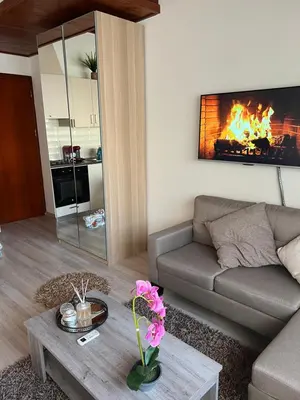a living room with a couch and a fireplace at Ellados 20 in Limassol