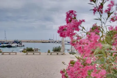 a view of a marina with benches and pink flowers at Glabur Stays! The One -1 - Elite Marina Front! in Zygi