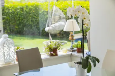 a window with a table with flowers and a lamp at Villa Elias in Ayia Napa