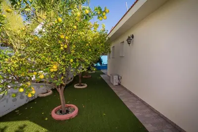 a courtyard with two trees in a building with grass at Villa Christo in Psematismenos