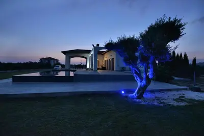 a blue lighted tree in front of a house at Villa Olivo Maroni in Maroni