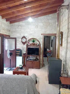 a living room with a couch and a tv in a room at TRADITIONAL HOUSE ARSOS in Arsos