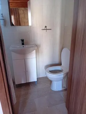 a bathroom with a toilet and a sink at TRADITIONAL HOUSE ARSOS in Arsos