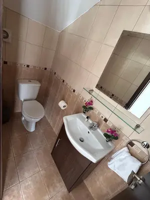 a bathroom with a sink and a toilet at DAFNI VILLA BY PANN in Protaras