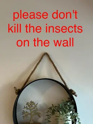 a sign that says please dont kill the insects on the wall at Makenzie 2 rooms first line beach in Larnaka