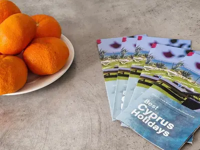 a plate of oranges on a table next to a book at Blue Touch Pervolia Paradise near the beach in Larnaka