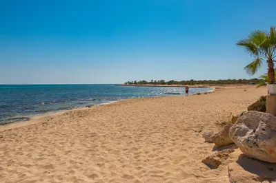 a sandy beach with a palm tree and the ocean at Kymma Villa #5 in Ayia Napa