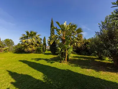 a green yard with palm trees and shadows on the grass at Villa Alexandra in Protaras