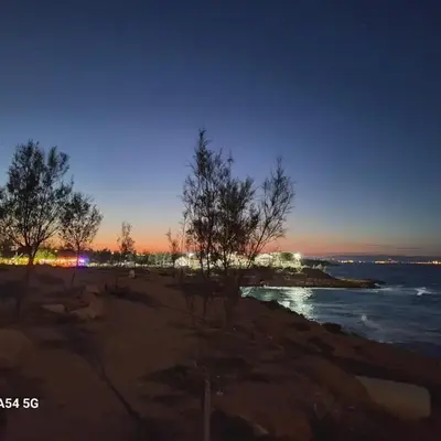POSEIDONIA BEACH GARDENS
