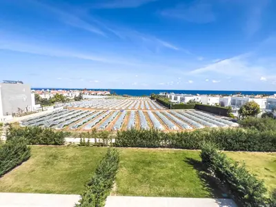 an aerial view of a large field of plants at Azure Vista Collection in Protaras