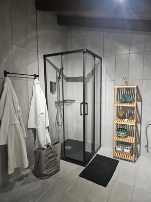 a bathroom with a shower with a glass door at Traditional adobe house in Evrychou with cozy garden and fireplace! in Nicosia