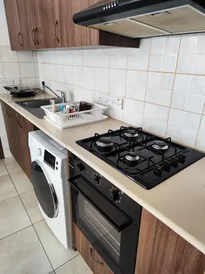 a kitchen with a stove and a washing machine at Mariam Apartment in Larnaka