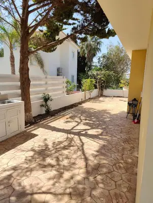 a courtyard with a tree and a white house at Sunrise Experience in Ayia Napa