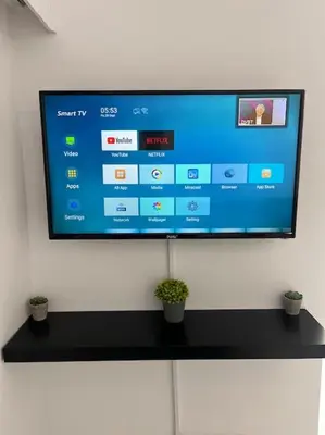 a flat screen tv on a wall with two plants at Top floor Flat in Nicosia 2 in Nicosia