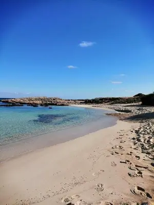 a beach with footprints in the sand and the water at Villa Elena Gardens in Ayia Napa
