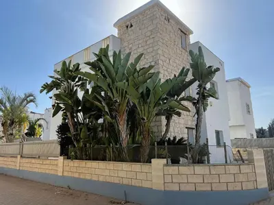 a building with palm trees in front of it at Villa Serenity in Protaras