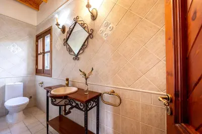 a bathroom with a toilet and a sink and a mirror at Troodos Mature Pine Chalet in Pedoulas