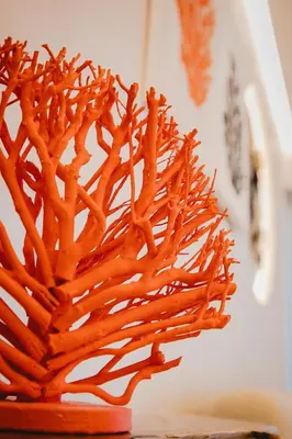 a close up of a bunch of carrot sticks at Q Coconuts Seaside Suites in Limassol