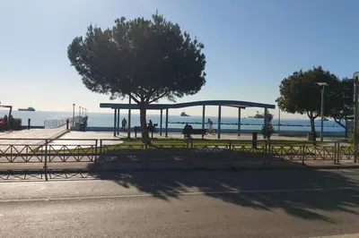 a park with a tree next to the water at Tourist Hot Spot Location in Limassol