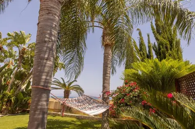 a hammock between two palm trees in a garden at Chelidonia Larnaca Seafront Villa in Meneou