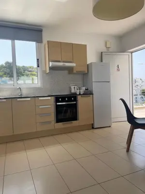 a kitchen with a refrigerator and a table and a chair at Fig Tree View Apartments in Protaras