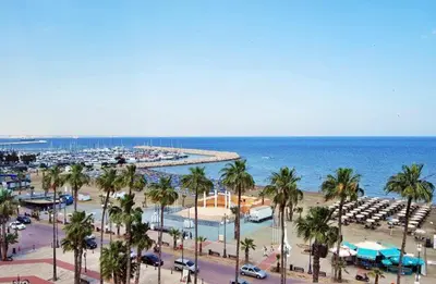 a view of a beach with palm trees and the ocean at Paradise by the Sea in Larnaka